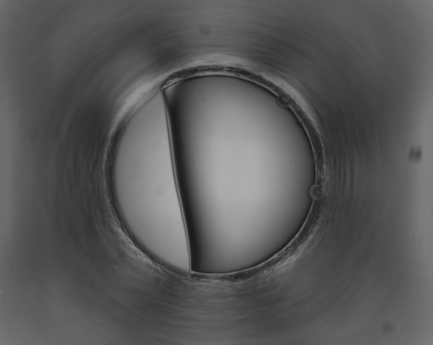X0000094070783200710190955