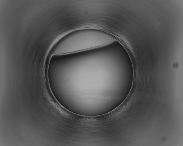 X0000094070784200710190954