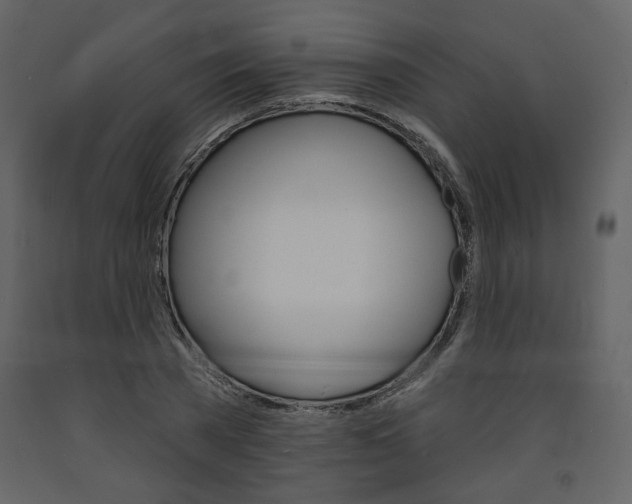 X0000094070785200710190954