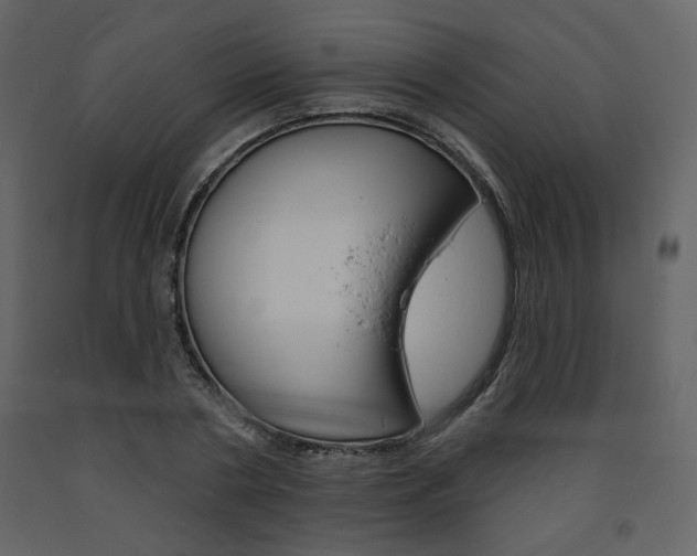 X0000094070786200710190954