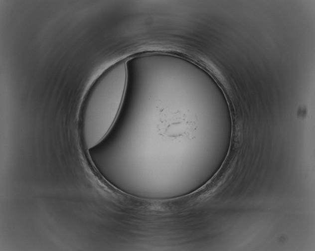 X0000094070787200710190954
