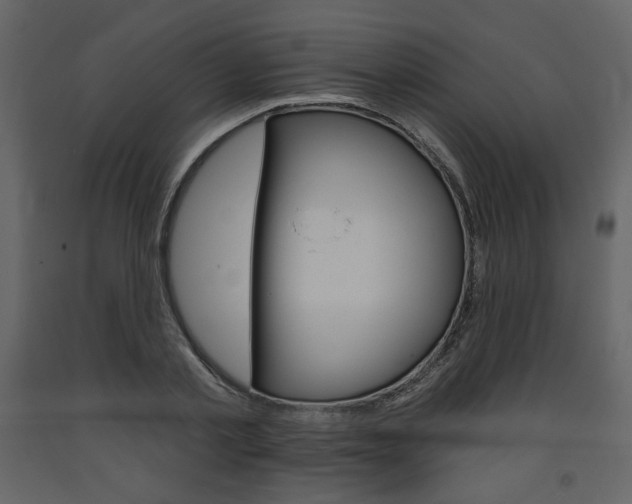 X0000094070789200710190954