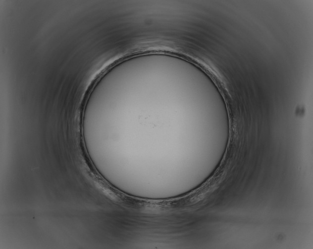 X0000094070790200710190954