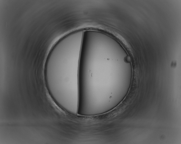 X0000094070791200710190954