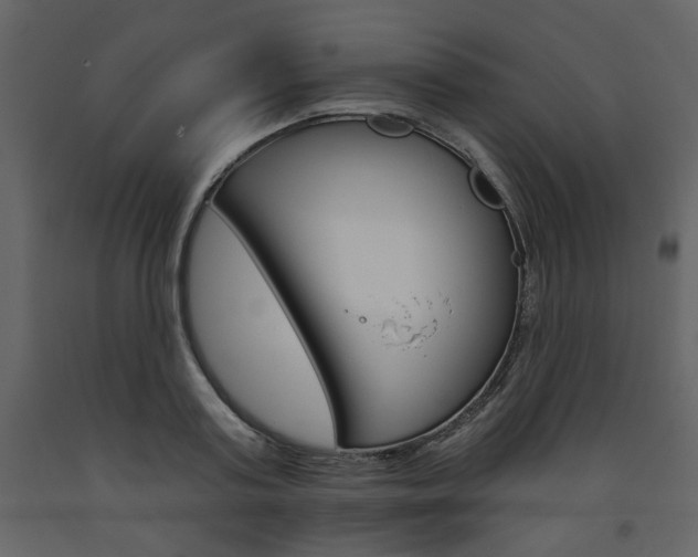X0000094070795200710190954