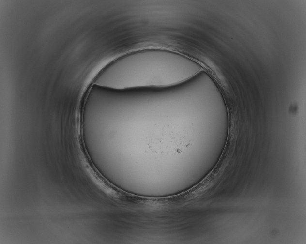 X0000094070796200710190954