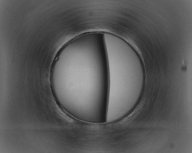 X0000094070797200710190954