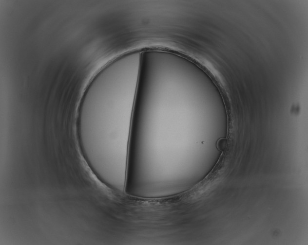 X0000094070799200710190954