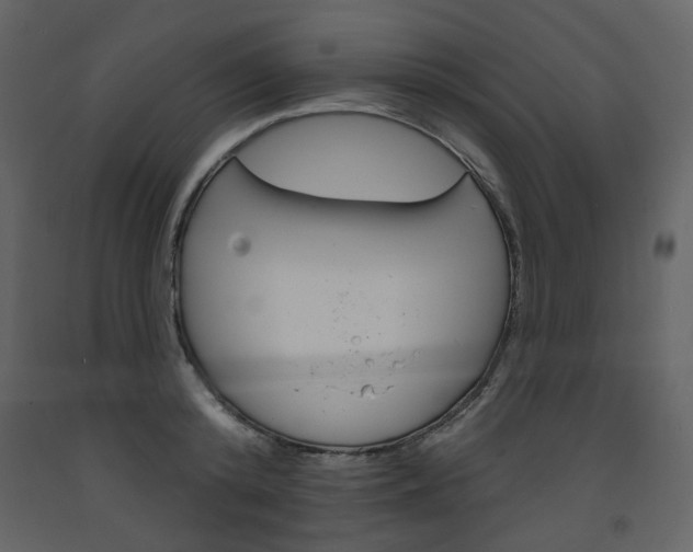 X0000094070800200710190954