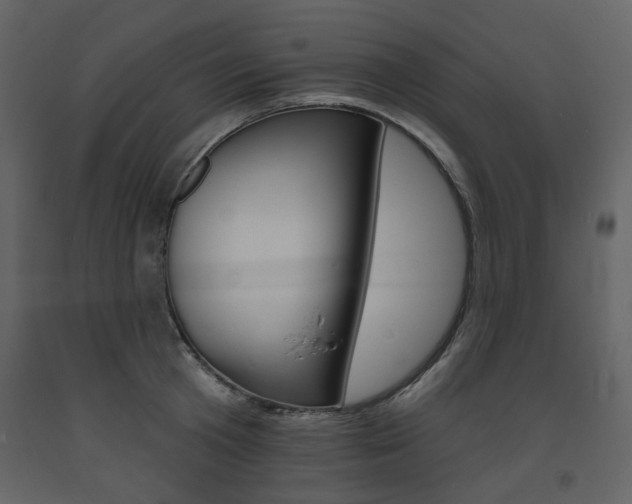 X0000094070801200710190954