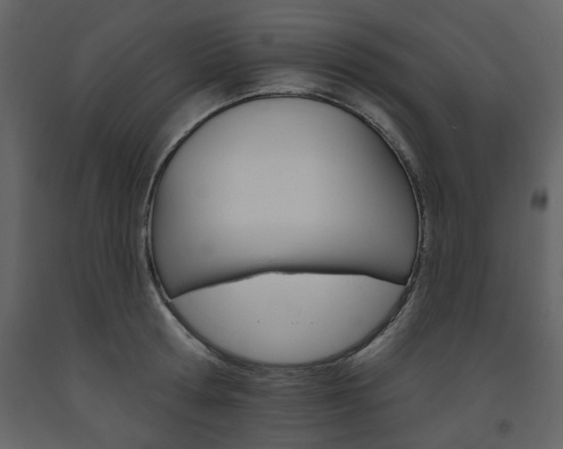 X0000094070802200710190954