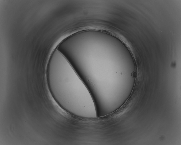 X0000094070803200710190954