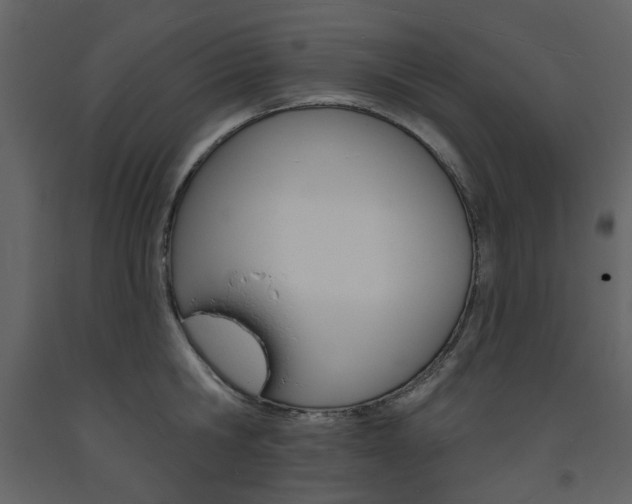 X0000094070806200710190954