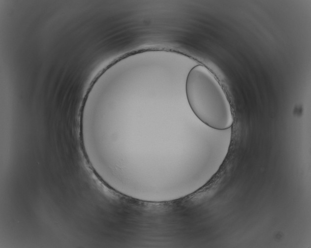 X0000094070807200710190954
