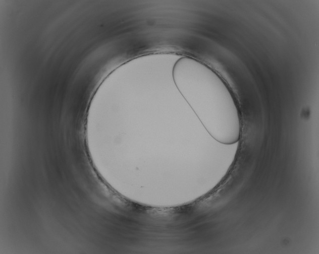 X0000094070810200710190954