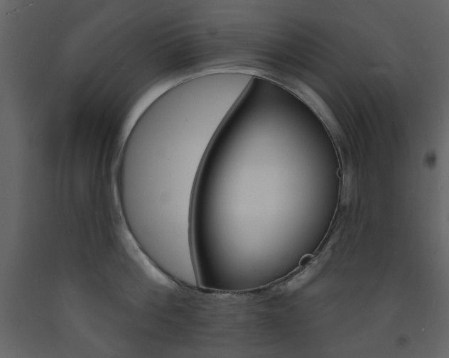 X0000094070812200710190954