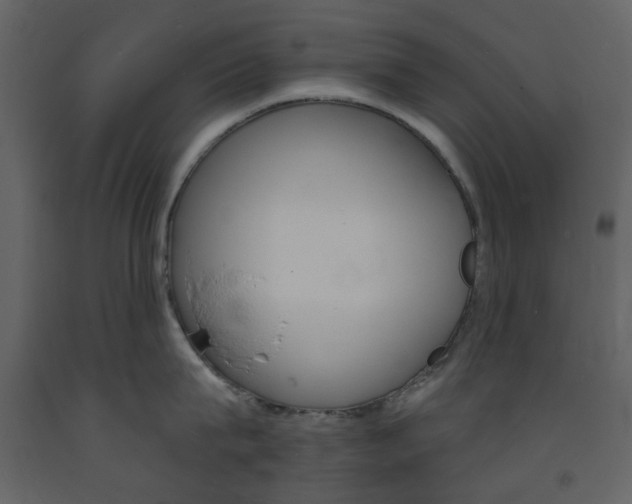 X0000094070815200710190954