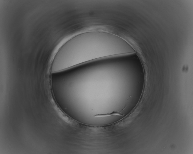 X0000094070816200710190954