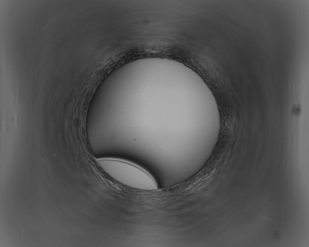 X0000094070817200710190953