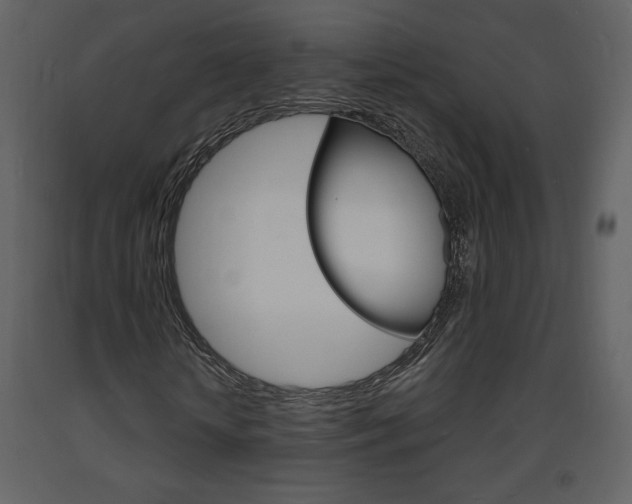 X0000094070818200710190953