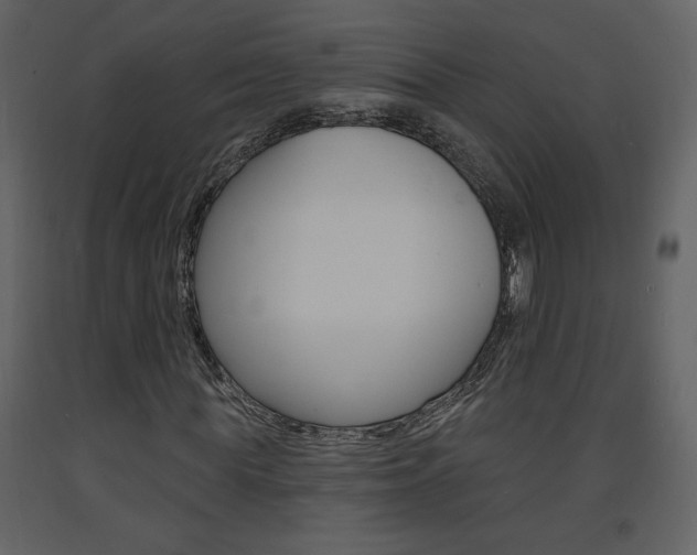 X0000094070819200710190953