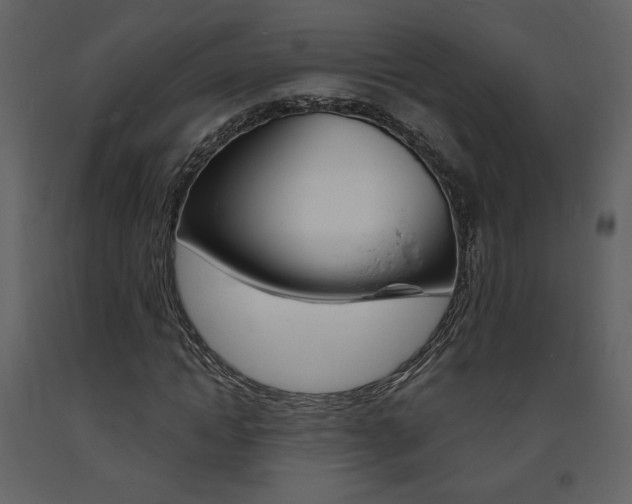 X0000094070822200710190953
