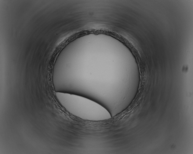 X0000094070823200710190953