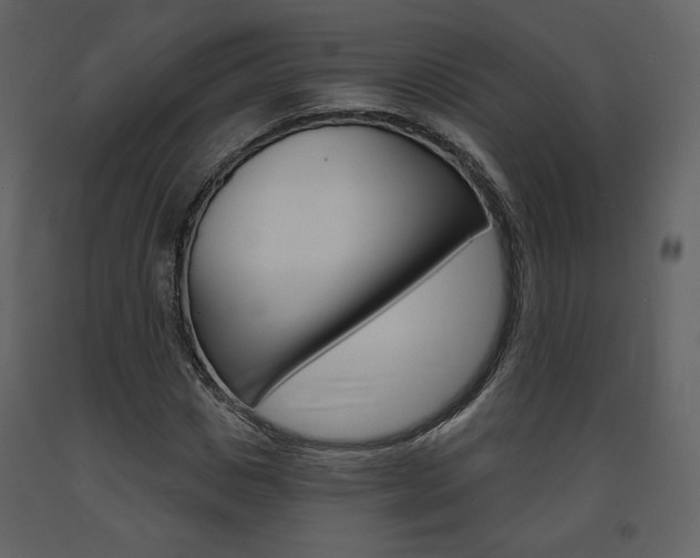 X0000094070825200710190954