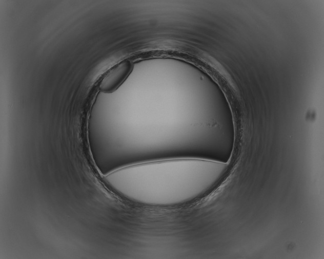 X0000094070826200710190954