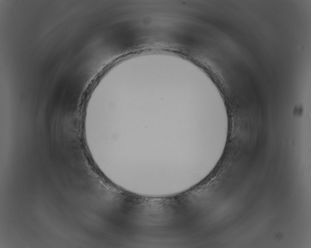 X0000094070828200710190954