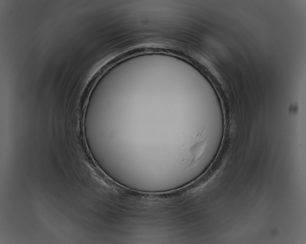 X0000094070829200710190954