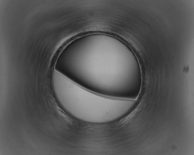 X0000094070830200710190954