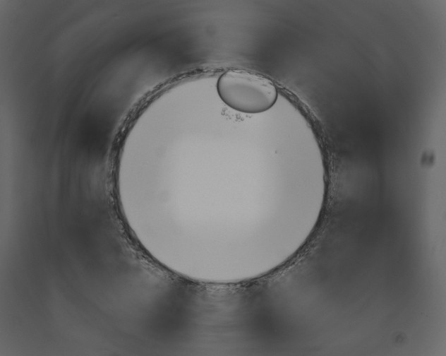 X0000094070832200710190954