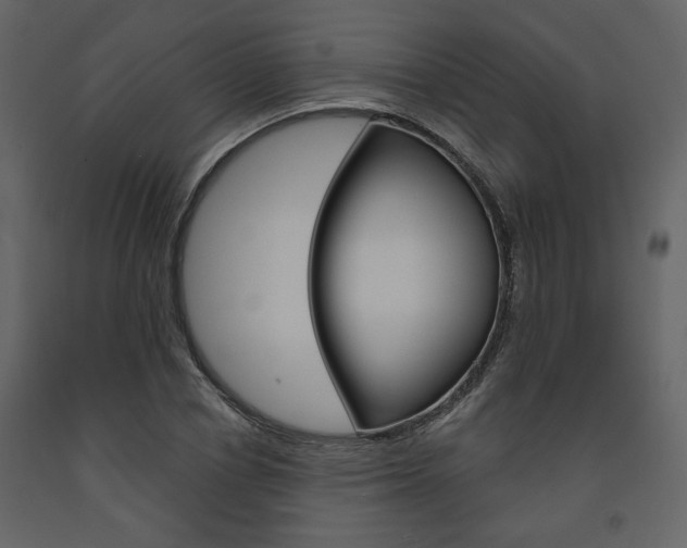 X0000094070834200710190954