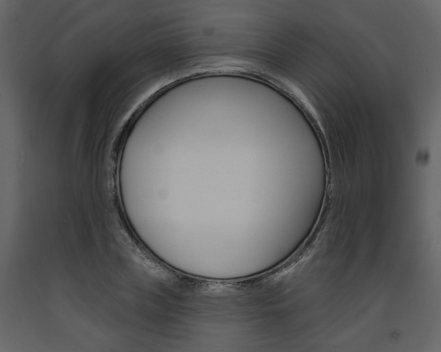 X0000094070835200710190954