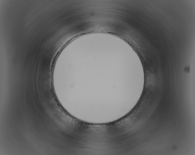 X0000094070836200710190954