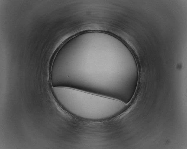X0000094070837200710190954