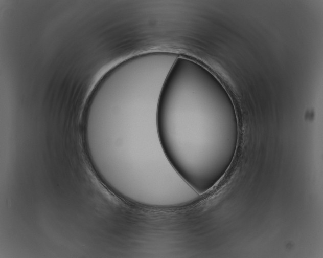 X0000094070838200710190954