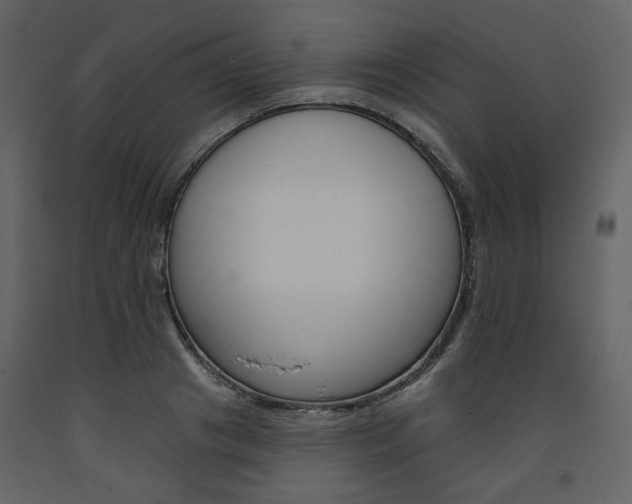X0000094070841200710190954