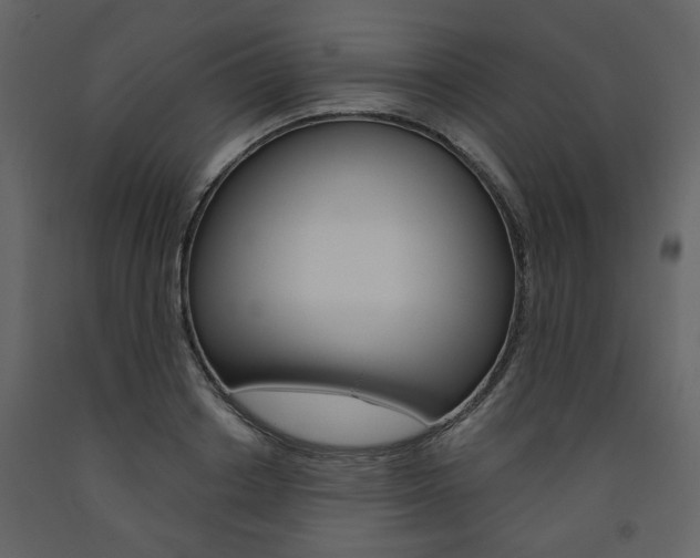 X0000094070842200710190954