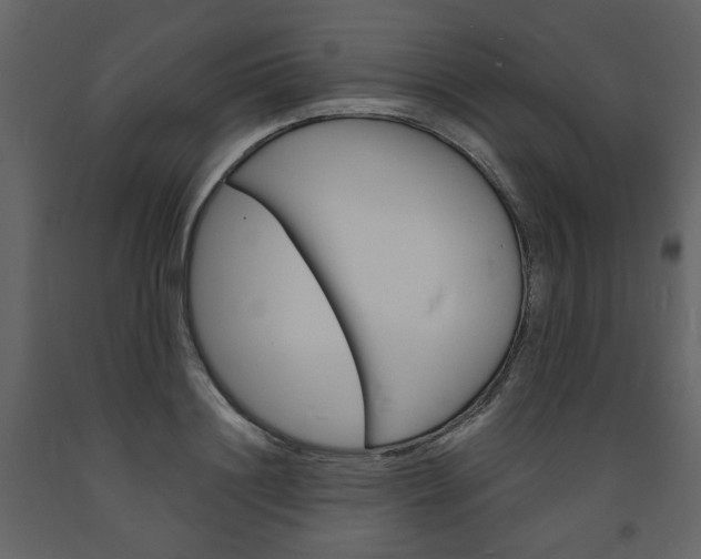 X0000094070844200710190954
