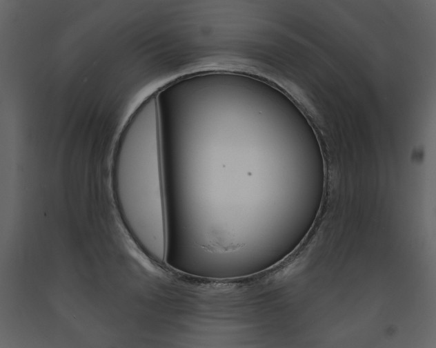 X0000094070846200710190954