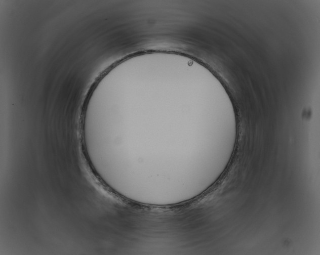 X0000094070848200710190954