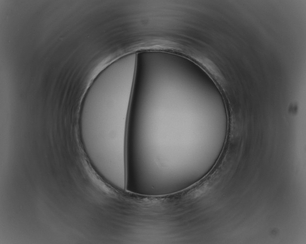 X0000094070850200710190954