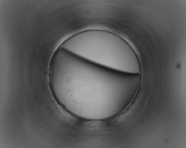 X0000094070853200710190954