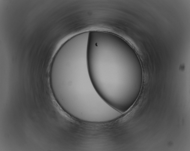 X0000094070854200710190954