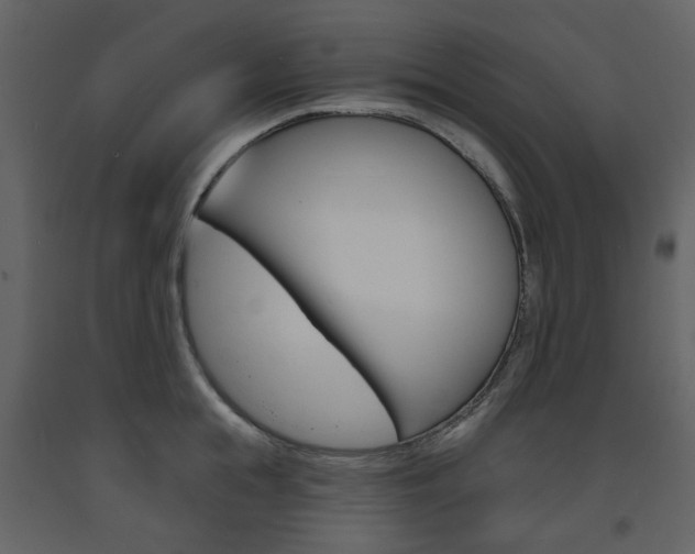 X0000094070855200710190954