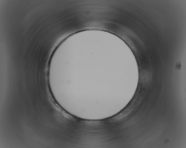 X0000094070856200710190954
