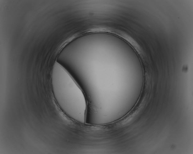 X0000094070857200710190954