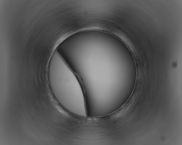 X0000094070858200710190954